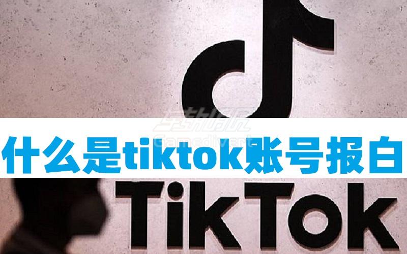 新手小白了解什么是tiktok账号报白名单(详细介绍).jpg