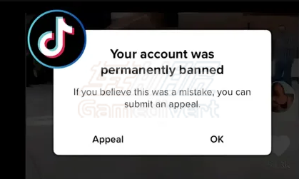 TikTok账号突然被封?别慌!这5步操作帮你成功解封 TikTok,TikTok账号封禁,TikTok解封申诉,TikTok封号原因,TikTok账号购买,TikTok粉丝购买,TikTok官网,TikTok申诉教程,TikTok账号恢复,TikTok违规处理,TikTok如何使用,TikTok下载,TikTok内容审核,TikTok账号管理,TikTok申诉信模板,TikTok帮助中心