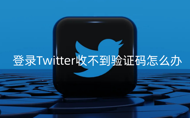 twitter收不到登录确认码怎么办，解决twitter推特收不到登录确认码的有效方法